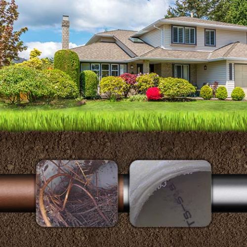 Fast Ashgrove Drain & Sewer Plumbers