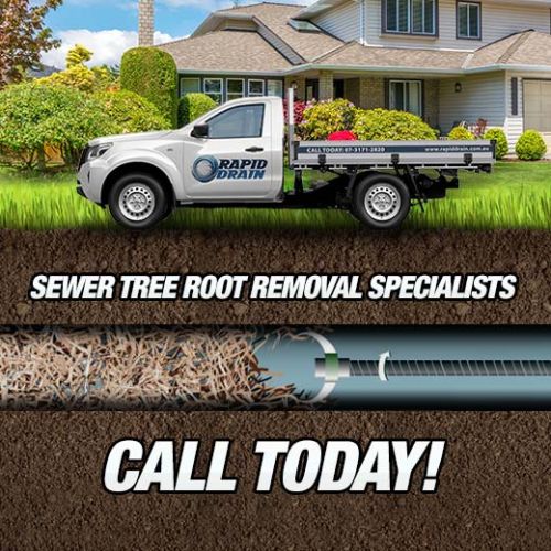 Sewer Tree Root Removal Specialists In Ashgrove